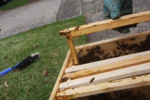 adding frames